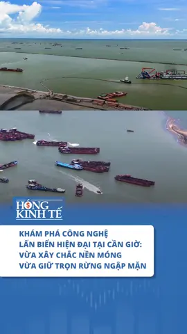KHÁM PHÁ CÔNG NGHỆ LẤN BIỂN HIỆN ĐẠI TẠI CẦN GIỜ: VỪA XÂY CHẮC NỀN MÓNG, VỪA GIỮ TRỌN RỪNG NGẬP MẶN #VinhomesCanGio #VinhomesGreenParadise