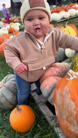 🎃 Fall in love 2025 Big Bex #8monthsold #babyboy #pumpkinseason #trending #october2025