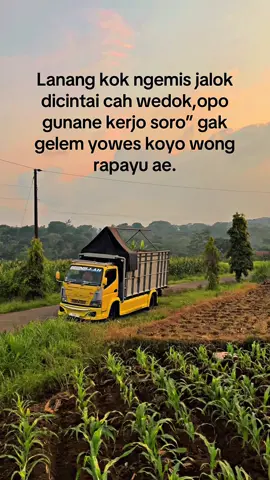 #fyp  #storytime   #storytrukmbois   #drivermudapunyacerita  #guavajambubiji 