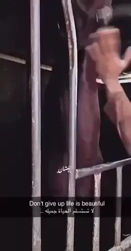 #fypシ゚ #هاشتاق #نجران_الان #خيل_عربي_اصيل #متابعه_ولايك_واكسبلور 