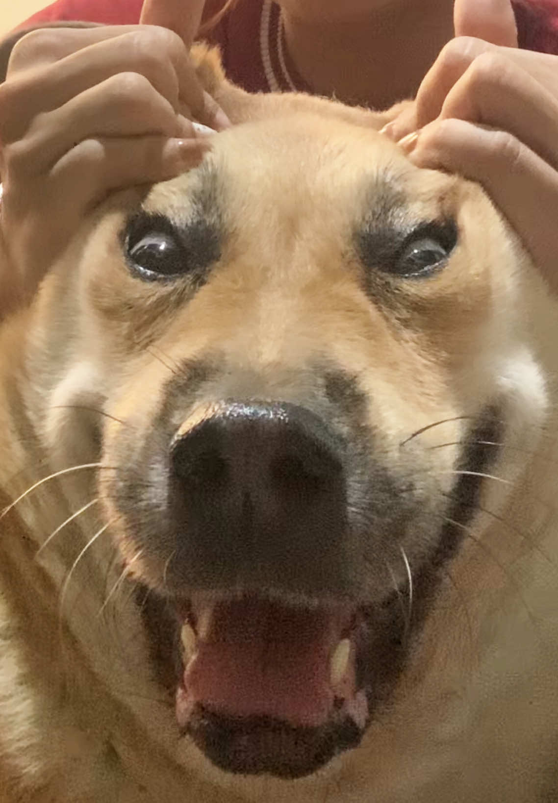 Nhân viên mới đi làm ngày đầu #lucky45 