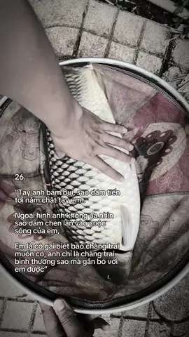 #CapCut #CapCut #buon_tam_trang #xuhuong #cauca @『HĐT』 T ∆ M® 