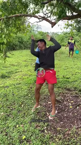 Flying with tree#giaitri #haihuoc #ilovetiktok #tiktokviral #xuhuong 