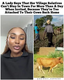 A Lady Says That Her Village Relatives Can’t Stay In Town For More Than A Day When Invited, Because They’re Too Attached To Their Cows Back Home Video Courtesy: @Aunt Janae  ▶️Nairobi_Express ▶️Nairobi_Express ▶️Nairobi_Express #nairobiexpress #cows #nairobitiktokers #foryoupage❤️❤️ 