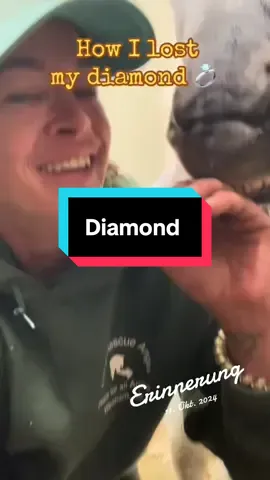 #erinnerung do you like diamonds?!?? #horse #diamond #gone #ring