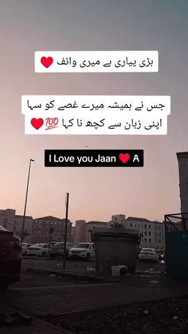 # بڑی پیاری ہے میری وائف#♥️💯♥️💯😎😎😎♥️💯😎♥️💯😎😎💯♥️😎💯♥️♥️#foryou #viral #video #My @Baber Gujjar 