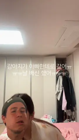반말 죄송#반려동물 
