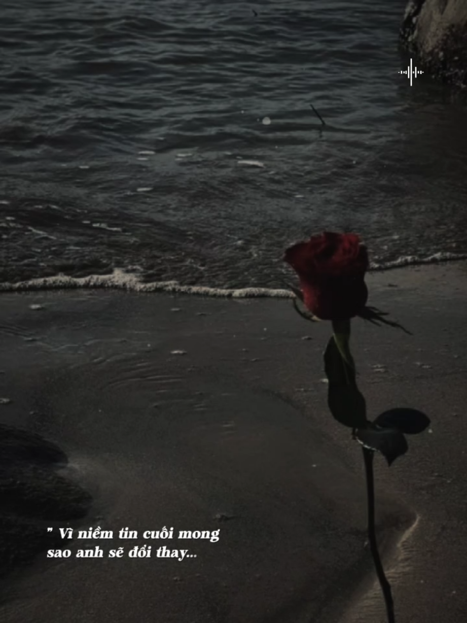 Đừng cố dắt e tin 2 chữ tình yêu...#CapCut #tâm_trạng_buồn #côđơn #nhachaymoingay #dungdung81189 