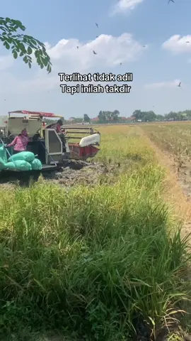 #combineharvester #teampletik 
