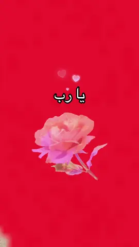 #اللهم آمين يا رب العالمين يا كريم اللهم إني استودعتك ديني ونفسي وأهلي ومن احببت يا من لا تضيع ودائعه#🌹🌹🌹🌹🌹🌹🕊️🕊️🕊️🕊️ 