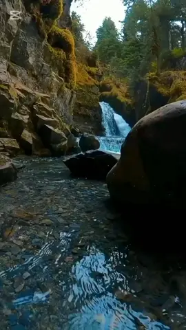 #CapCut #المشاهدات_⬇️_ليش_😢💔 #المشاهدات_توصل_مليون #المشاهدات⬆️_الايكات⬇️ #المشاهير____التيك___توك 