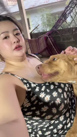 อ้อนอีกแล้ว#ฟีดดดシ #fyp #หมาน่ารัก 