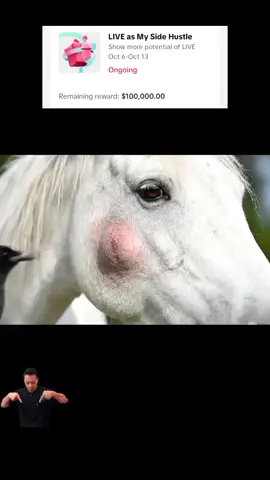 #LIVEIncentiveProgram #SideHustleLIVE #PaidPartnership 