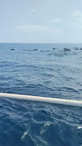 this is my job🙏☺️ #fypp #fypシ #liburanbali #promoseruweekend 