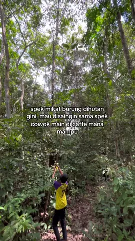 #kicaumania #pemikat #burungkicau #fyp 