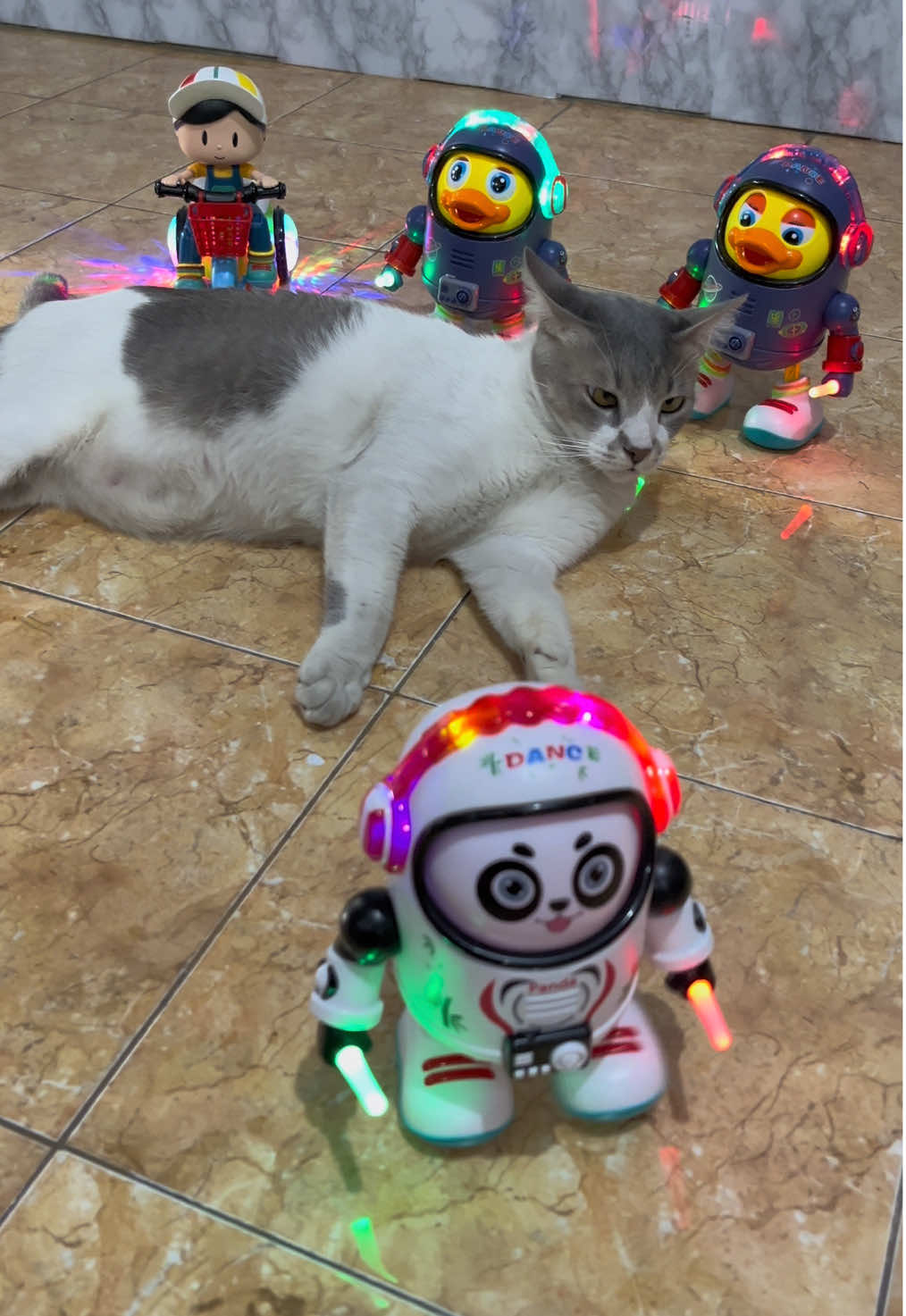 Mainan anak panda luar angkasa joget #mainananak #mainanviral #mainan #mainanpandaangkasajoget #mainanpandaastronotjoget 