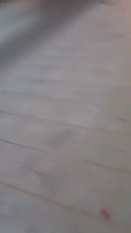 الله يعوضنا 😔 #حريق #الدائري #عند #السلام #مول 