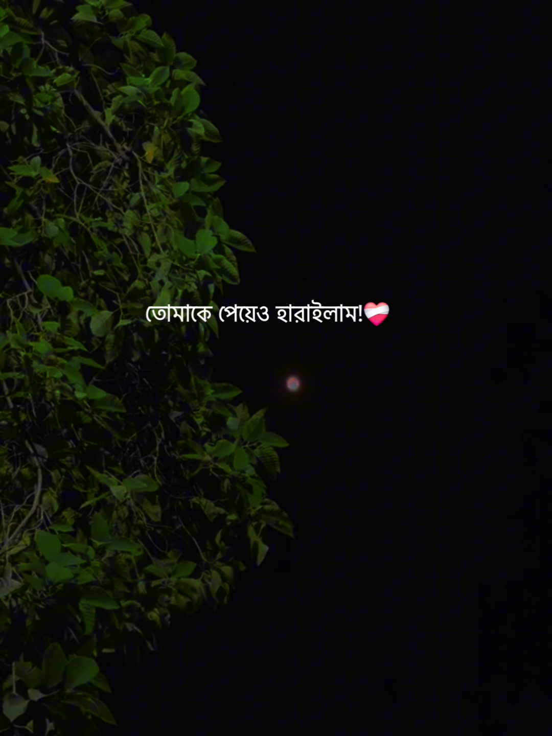 ❤️‍🩹#foryou #trending #bdtiktokofficial #masud7x @TikTok Bangladesh 