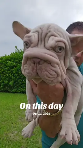 #onthisday 