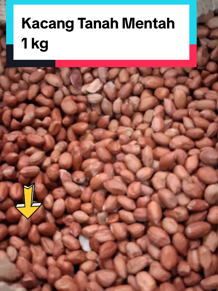Kacang Tanah Mentah 1 kg. Cocok untuk dijadikan campuran sayur asem, atau buat sambal teei.main bola, peyek kacang dan masakan yang lainnya. #kacangtanahmentah  #kacangtanah  #1kg  #bumbupecel  #peyekkacang 