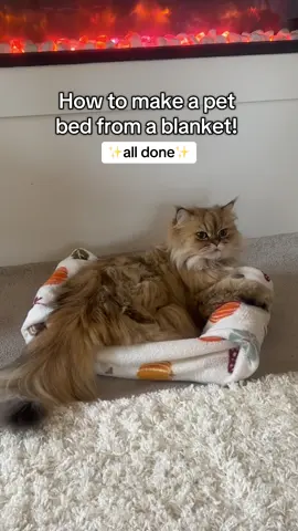 make a bed for your pet from only a blanket!! 🛌🐱 #catsoftiktok #cats #foryoupageofficiall #foryou #fyp 