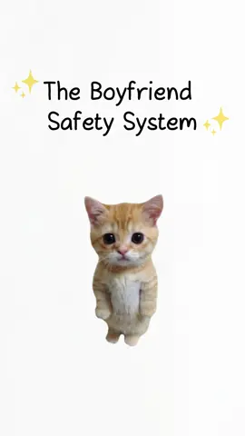 The boyfriend safety system#catanimation #kittycat #explainedbycats #kittyexplains 