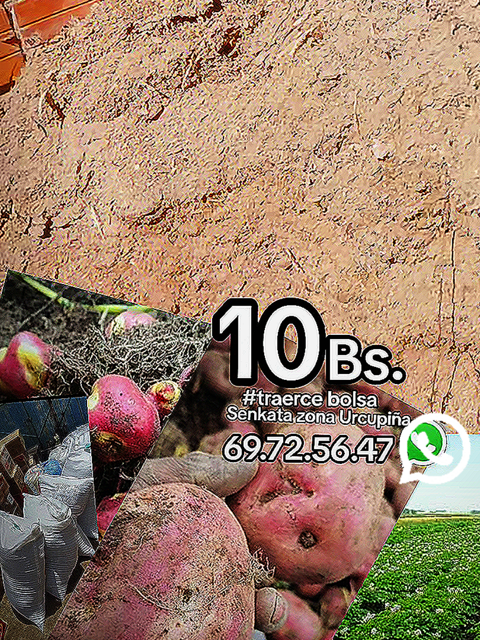 #Abono de gallinas para sembrar papa #paratiiiiiiiiiiiiiiiiiiiiiiiiiiiiiii #viral #ventadecascarriladearros #ventadegallinas 