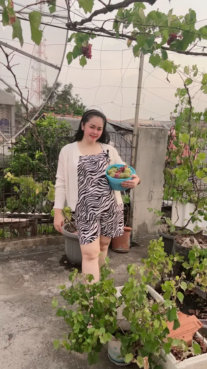Bahagia nya bisa panen anggur lagi di balkon rumah Oktober 2025 🍇🍇🍇🍇😍😍😍#panen #anggur #balkon #rumah 