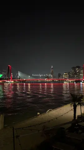Rotterdam at night 🖤 Welecom to Holland 🇳🇱📸 #Rotterdam #هولندا #holland #netherlands #روتردام 