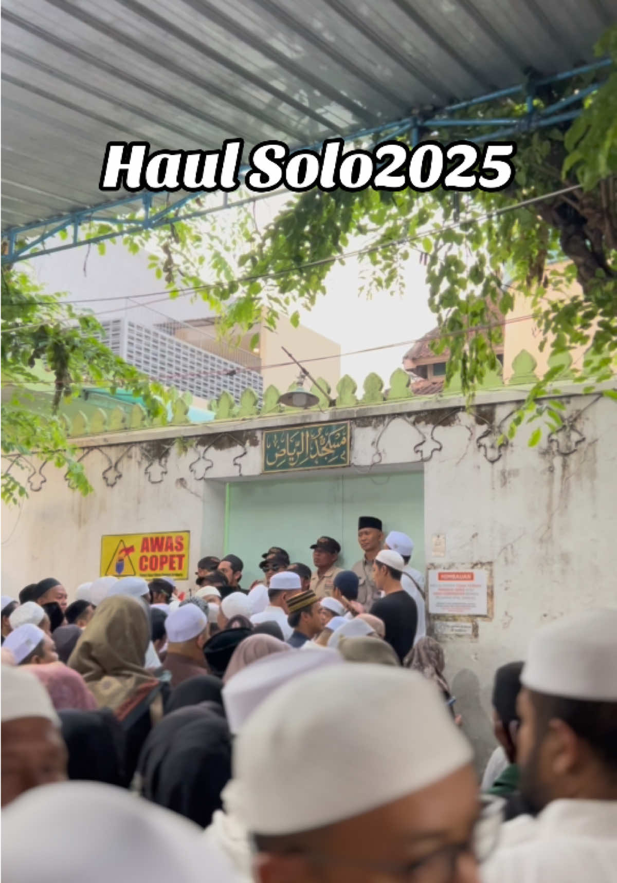 Haul Solo 2025 #haulsolo #haulsolo2025 