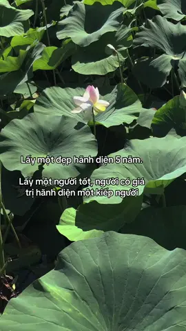 em chọn người lương thiện, tử tế#phatphapnhiemmau #phatphap #xh #xhtiktok #xuhuong 