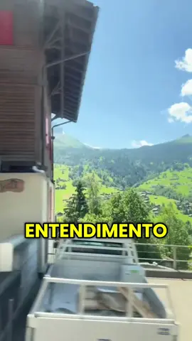 Você colhe o que planta! #reflexão #felicidade #inspiration #motivation #mentalidade 