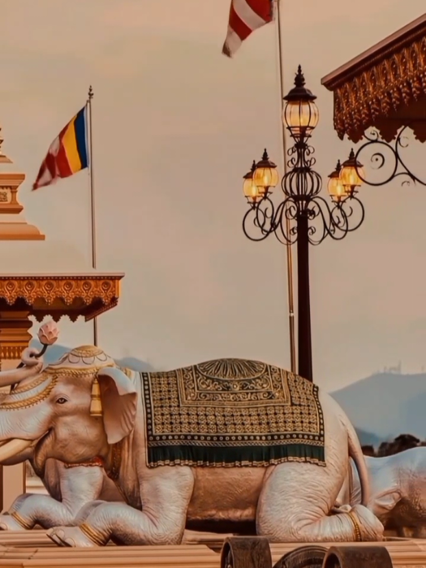 Kubalwela #kubalwela_mahameuna_asapuwa #srilanka #bandarawela #foryou #plktours 