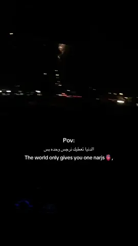 Only one🫂🫀.#fypppppppppppppppppppppp #محور_الكون #محمدعبدالجبار_اغاني @N💢 