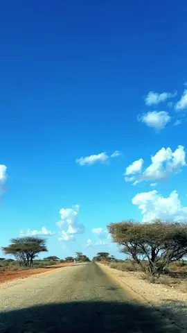 Galmudug oo roobku wada onkoday Alx. Waa xiligii socodka, cadka iyo caanaha.  Soo Dhawaada.  #Hureyre #somaliatiktok #somalia #Galmudug #foryoupage 