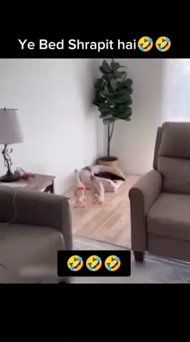 #viralvideo #funnyvideos 