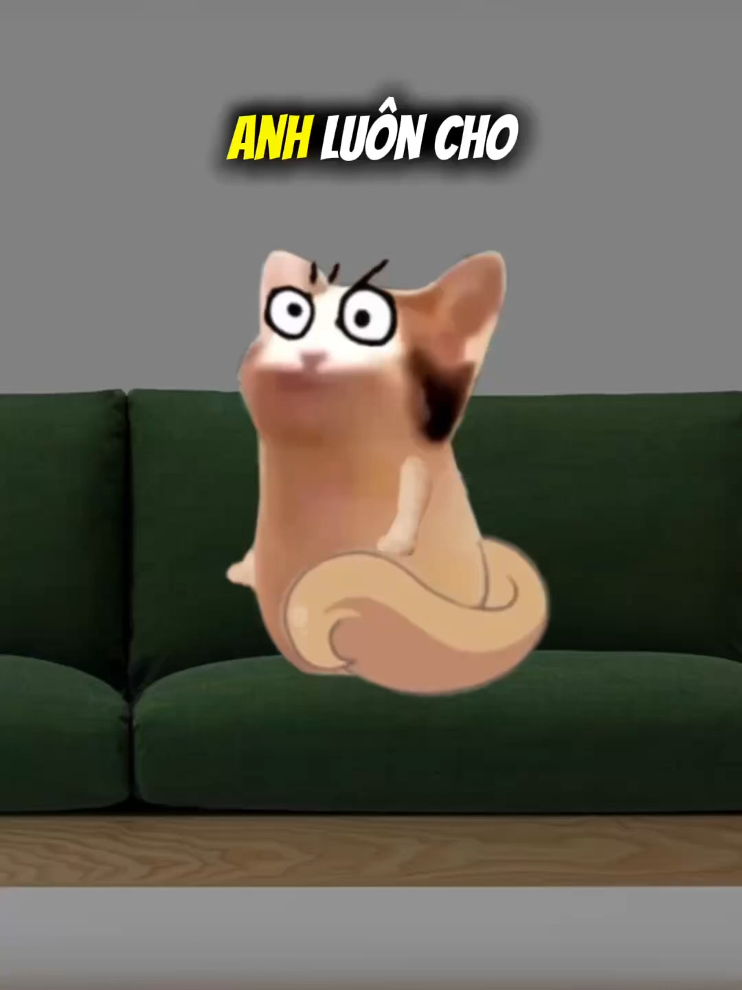 Đây chả phải là tiêu chuẩn kép hay sao #cheems