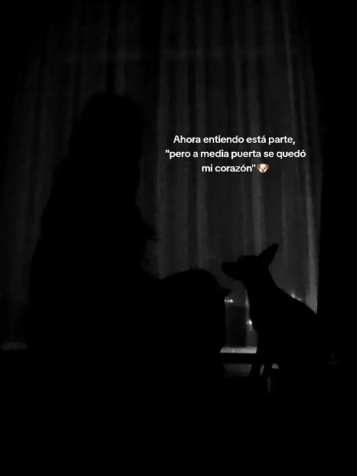 #perritos #joy #perrehijos #chicas #boysplanet 