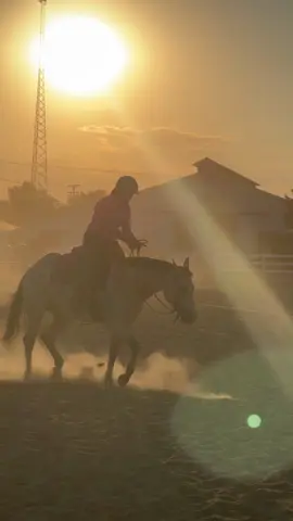 Never thought after everything with Taz we’d make it to this point. We weren’t aiming for perfect in this class, just participation. It’s not always about winning. He had a long day at this point and was tired. But he still went in and did it!  He’s truly a part of the family.  I’ve used this song often for him because.. he’s the sun. And his life is shining.  We call him brother or big brother.  I call him the love of my life.  @Jolene  #Taz #herecomesthesun 