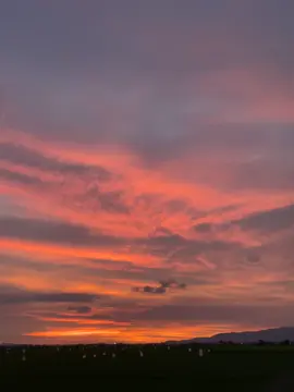 hmmm #xuhuongtiktok #chill #fypシ゚ #buon #sunset 