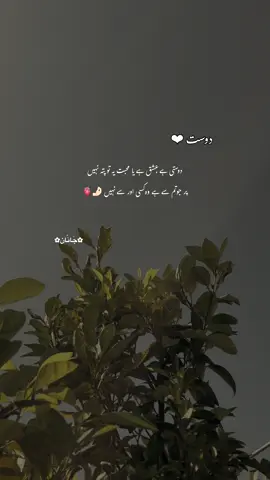 یہ احساس دل کی گہرائیوں سے اُبھرتا ہے، ایسا لگتا ہے جیسے روح نے کسی اور روح کو پہچان لیا ہو۔ کبھی سمجھ نہیں آتا یہ رشتہ دوستی ہے، عشق ہے یا محبت، مگر ایک بات طے ہے کہ جو جذبات، جو قربت، جو احساس ایک خاص انسان سے جڑا ہے، وہ کسی اور سے ممکن نہیں۔ دل جب اُس کا نام سنتا ہے تو ایک عجیب سا سکون پھیل جاتا ہے، جیسے ساری دنیا تھم گئی ہو اور بس ایک چہرہ، ایک وجود باقی رہ گیا ہو۔ یہ رشتہ لفظوں سے نہیں بندھا، بلکہ احساسات کی نرمی اور یادوں کی خوشبو سے جڑا ہوا ہے۔ کبھی بات نہ بھی ہو، پھر بھی دل اُس کی موجودگی محسوس کرتا ہے۔ یہ ایسا بندھن ہے جو فاصلوں سے نہیں ٹوٹتا، وقت کے ساتھ کم نہیں ہوتا، بلکہ اور گہرا ہوتا چلا جاتا ہے۔ شاید یہی وہ تعلق ہے جو محبت سے بھی آگے، اور دوستی سے بھی گہرا ہوتا ہے — ایک ایسا رشتہ جو دل کی دھڑکنوں میں، دعاؤں کے لبوں پر اور خوابوں کی راہوں میں ہمیشہ زندہ رہتا ہے۔ 🫀✨#yourfinn #fyp #hehe_asad #_silent_cries 