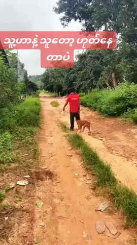 #မြင်ပါများပီးချစ်ကျွမ်းဝင်အောင်လို့🤒🖤 