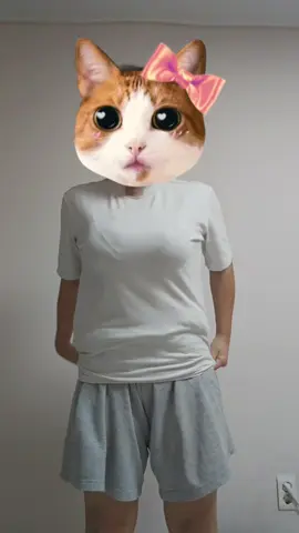파마송 추천 
