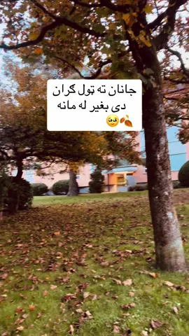 @عـلی 🗣️ 