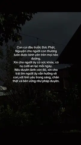 #phatphapnhiemmau 
