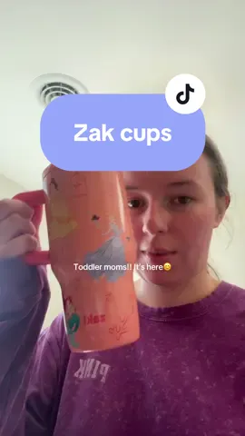 This is so cute and practical!#zak #toddlercup #leakproof #tiktokshopcreatorpicks 
