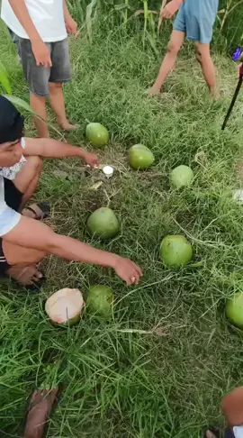mekhanai koboy kaban