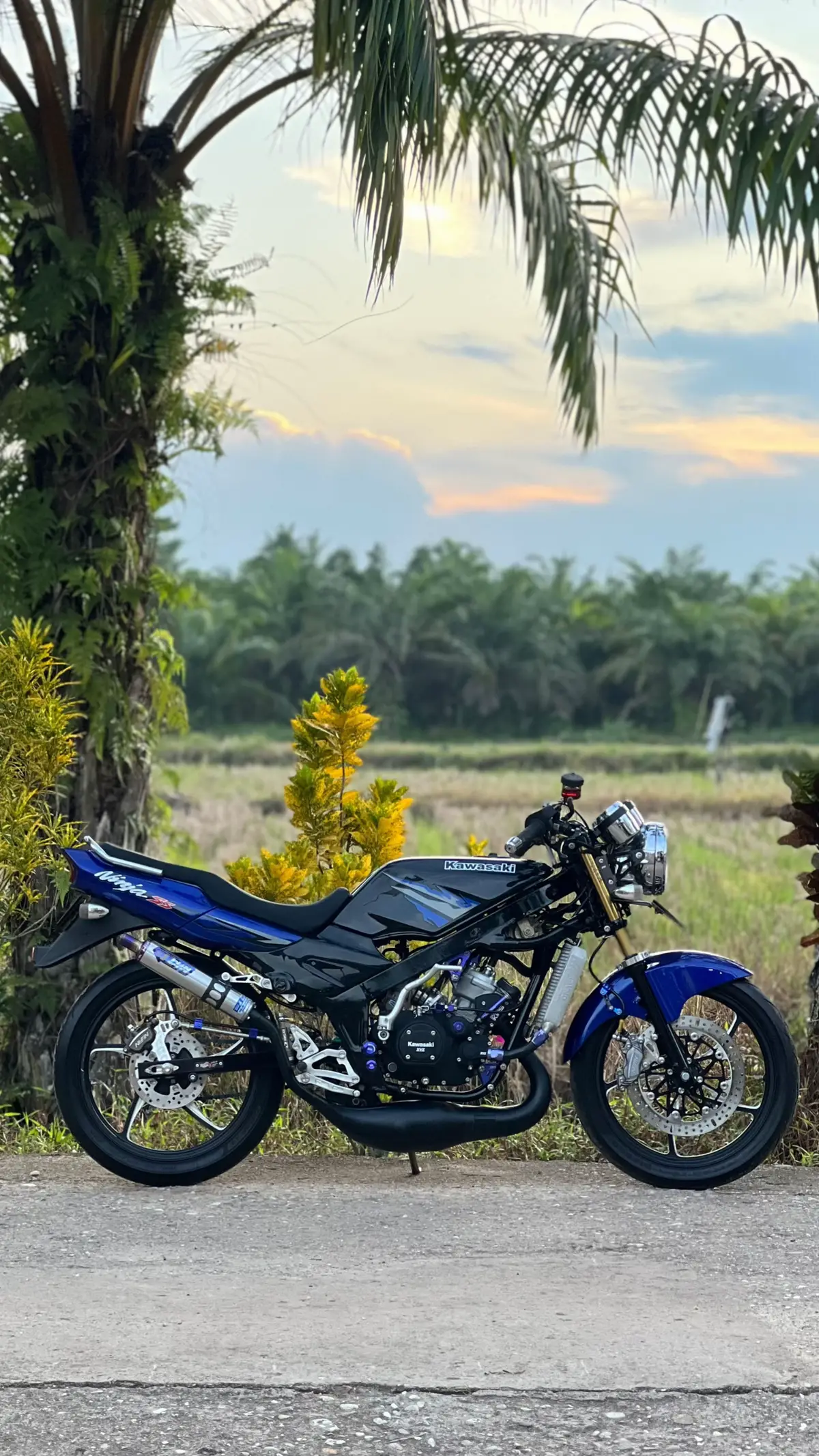 Bahan posting ulang mu 🤪