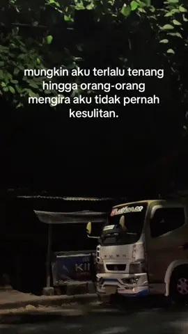 tenang bukan senang🧠 #masukberanda #storytruck #drivermuda #trukmodifikasi #storytrukmbois 
