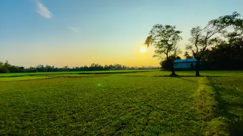 যদি বেচে থাকি তা হলে আবার দেখা হবে এখন কার মতো আল্লাহ হাফেজ 🥹😊💔@𓆩ᴀʀᴍᴀɴ𓆪 
